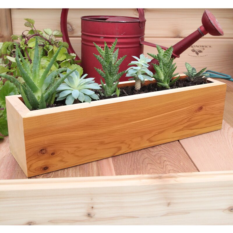 Gronomics Succulent Cedar Planter Box &amp; Reviews Wayfair.ca